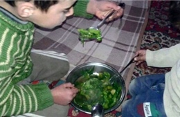 Khi người dân Syria phải ăn cỏ
